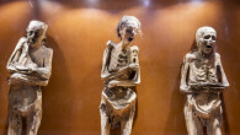 O parte dintre mumii au făcut parte dintr-o expoziție ambulantă care a trecut și prin capitala Mexicului. Foto: Profimedia Images | Poza 7 din 9