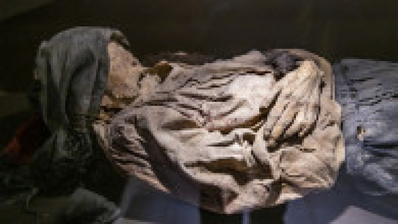 Experții au văzut poze cu expoziția și au observat semnele apariției unei ciuperci pe una dintre mumii. Foto: Profimedia Images | Poza 8 din 9