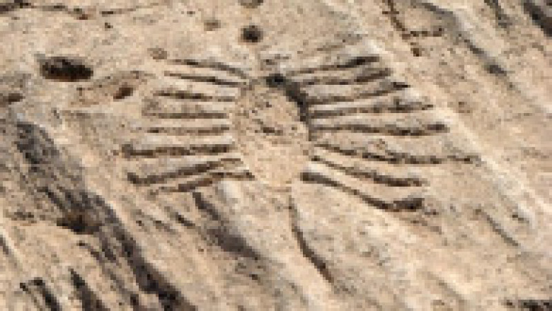 Bărcile de pescuit erau foarte importante pentru oamenii care trăiau în zonele de coastă cu secole în urmă și erau de multe folosite ca simboluri ale trecerii în neființă. Captură foto: Facebook / Bahrani History | Poza 1 din 5