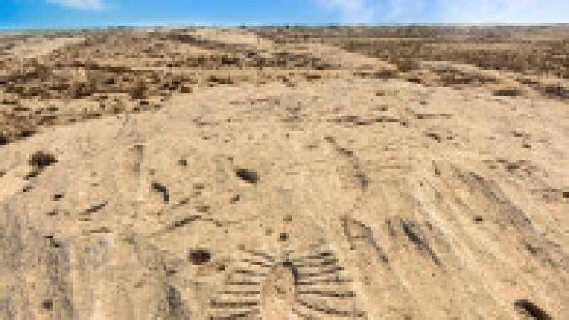 „Unele din sculpturile din Al Jassasiya sunt unice și nu mai pot fi găsite niciunde altundeva”, a spus un expert de la Muzeul Qatar. Captură foto: Twitter / @gomosafer | Poza 5 din 5