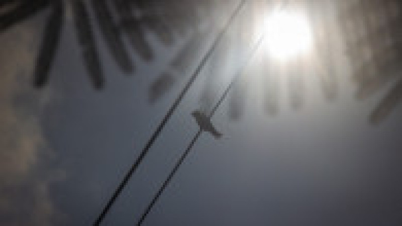 Eclipsa a putut fi urmărită din Indonezia, Australia și Timorul de Est. Foto: Profimedia Images | Poza 4 din 6