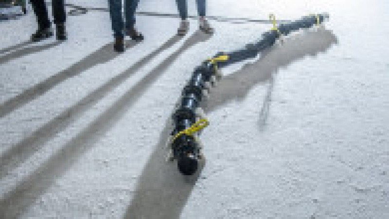 Robotul de aproximativ 100 de kilograme și lung de 5 metri este testat în diferite condiții de mediu pentru a se determina dacă este pregătit de misiune. Foto: Profimedia Images | Poza 4 din 6