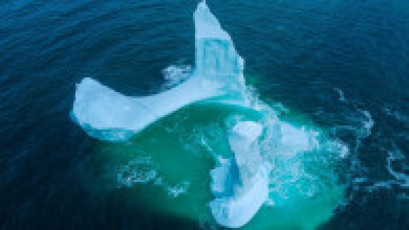 Fotograful canadian Ken Pretty a observat un aisberg de 9 metri cu o formă interesantă în largul coastei de est a insulei Newfoundland. Foto: Profimedia | Poza 10 din 18
