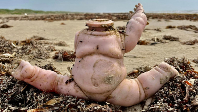 Păpuși înfricoșătoare și alte obiecte descoperite pe o plajă din Texas. Captură foto: Facebook: Mission-Aransas Reserve