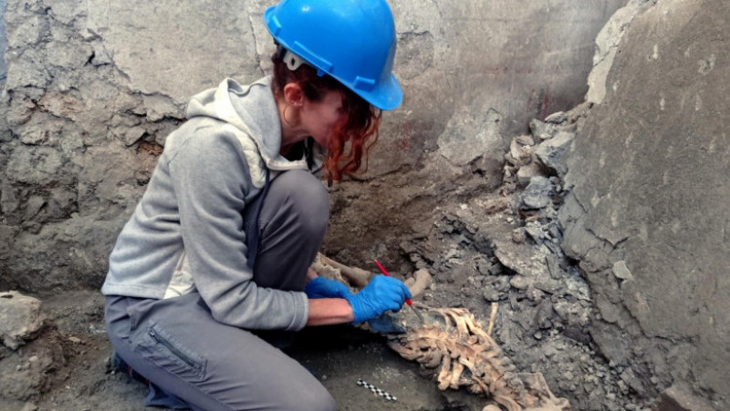 Arheologii au descoperit în Pompei rămăşiţele altor două victime ale erupţiei vulcanice devastatoare. FOTO: Profimedia Images