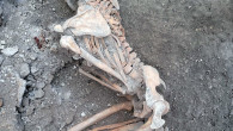 Arheologii au descoperit în Pompei rămăşiţele altor două victime ale erupţiei vulcanice devastatoare. FOTO: Profimedia Images | Poza 3 din 5