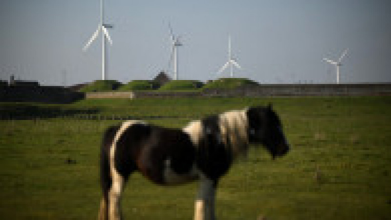 Turbinele eoliene au devenit principala sursă de electricitate în Marea Britanie. Cea mai mare "fermă" din lume va alimenta 6 milioane de case. Sursa foto Profimedia Images | Poza 17 din 22