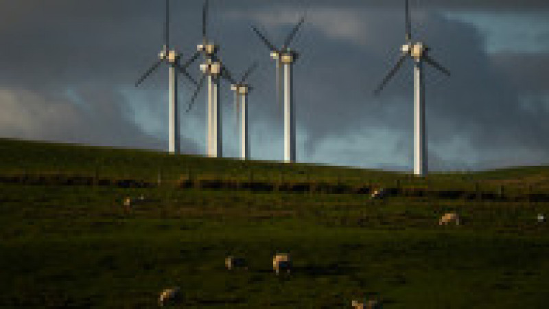 Turbinele eoliene au devenit principala sursă de electricitate în Marea Britanie. Cea mai mare "fermă" din lume va alimenta 6 milioane de case. Sursa foto Profimedia Images | Poza 20 din 22