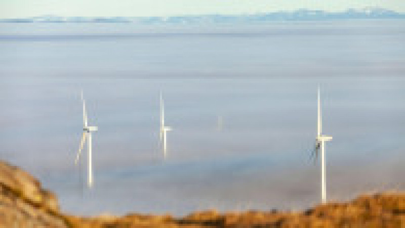 Turbinele eoliene au devenit principala sursă de electricitate în Marea Britanie. Cea mai mare "fermă" din lume va alimenta 6 milioane de case. Sursa foto Profimedia Images | Poza 6 din 22