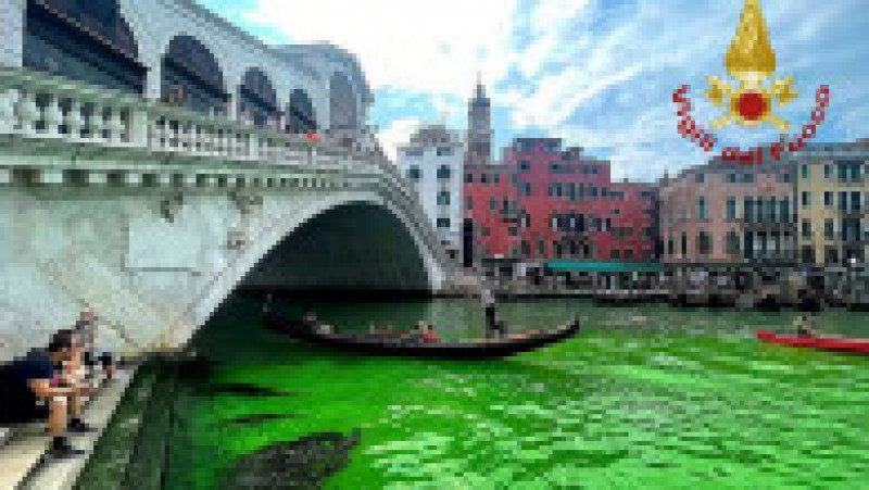 O porțiune a canalului central din Veneția a devenit verde fluorescent. Foto: Profimedia | Poza 11 din 11