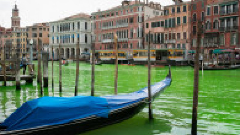O porțiune a canalului central din Veneția a devenit verde fluorescent. Foto: Profimedia | Poza 5 din 11