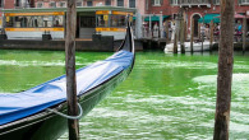 O porțiune a canalului central din Veneția a devenit verde fluorescent. Foto: Profimedia | Poza 8 din 11