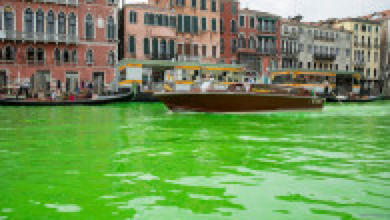 O porțiune a canalului central din Veneția a devenit verde fluorescent. Foto: Profimedia | Poza 7 din 11