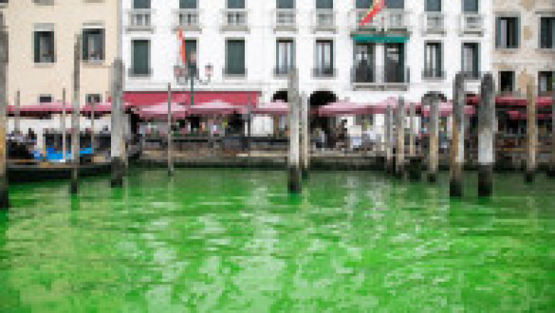O porțiune a canalului central din Veneția a devenit verde fluorescent. Foto: Profimedia | Poza 6 din 11