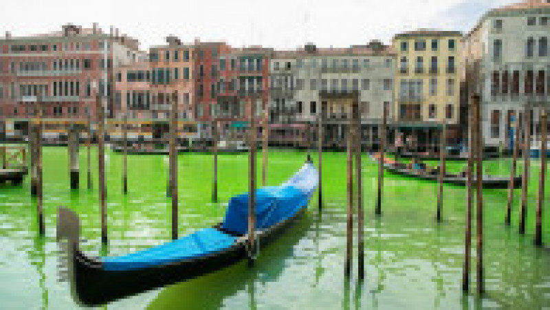 O porțiune a canalului central din Veneția a devenit verde fluorescent. Foto: Profimedia | Poza 4 din 11
