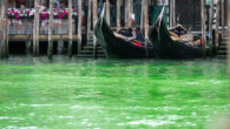 O porțiune a canalului central din Veneția a devenit verde fluorescent. Foto: Profimedia | Poza 9 din 11