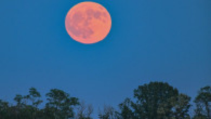 Luna Căpșună, un fenomen astronomic inedit, luminează cerul nopții în acest weekend. FOTO: Profimedia Images | Poza 1 din 7