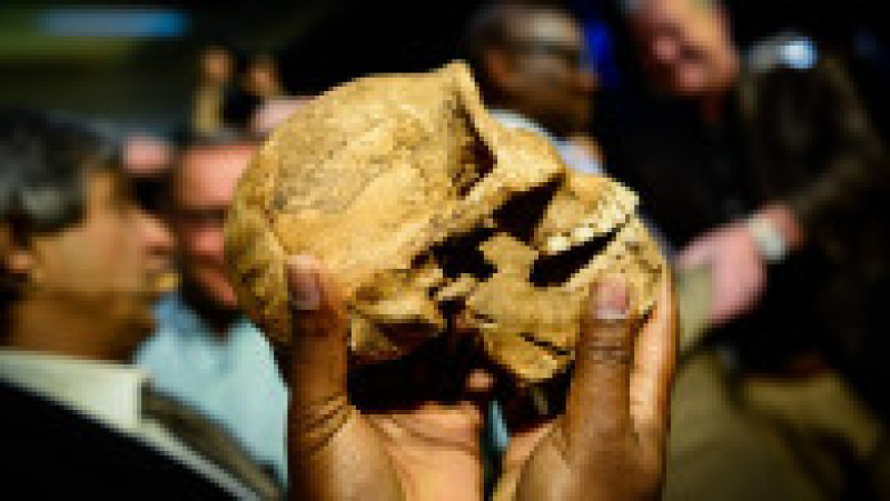 Cele mai vechi înmormântări ale membrilor speciei de Homo sapiens au avut loc abia cu 100.000 de ani mai târziu. Foto: Profimedia Images | Poza 7 din 8