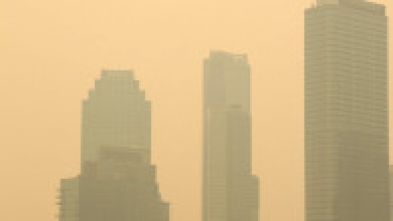 Zeci de milioane de oameni din SUA sunt sub alertă de poluare a aerului. Foto: Profimedia Images | Poza 9 din 20