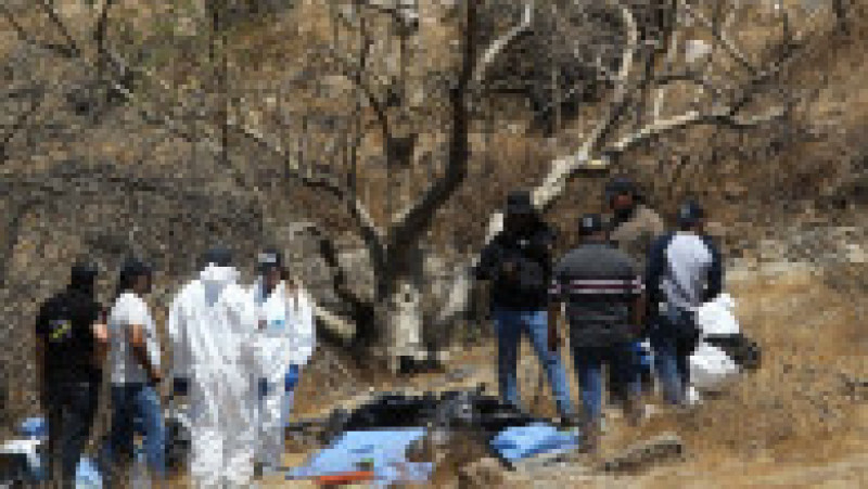 45 de saci cu resturi umane au fost găsiți într-o prăpastie din Mexic. FOTO: Profimedia Images | Poza 8 din 8