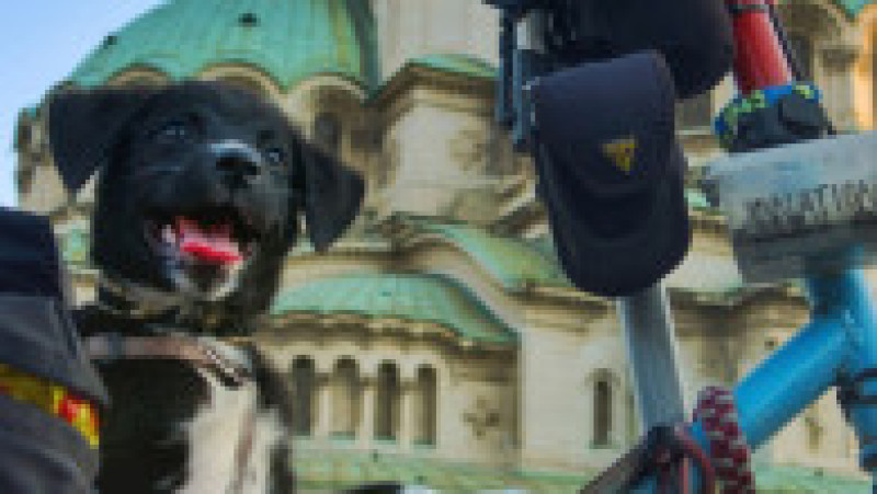 Un britanic a plecat într-o călătorie în jurul lumii cu bicicleta și cățelul comunitar pe care l-a găsit în România FOTO: Profimedia Images | Poza 14 din 15