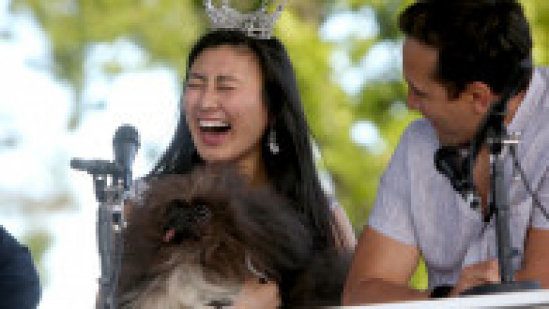 Scooter a fost desemnat cel mai urât câine din lume, în cadrul unei competiții internaționale care promovează adopția câinilor și prezintă câini cu povești extraordinare. FOTO: Profimedia Images | Poza 5 din 33