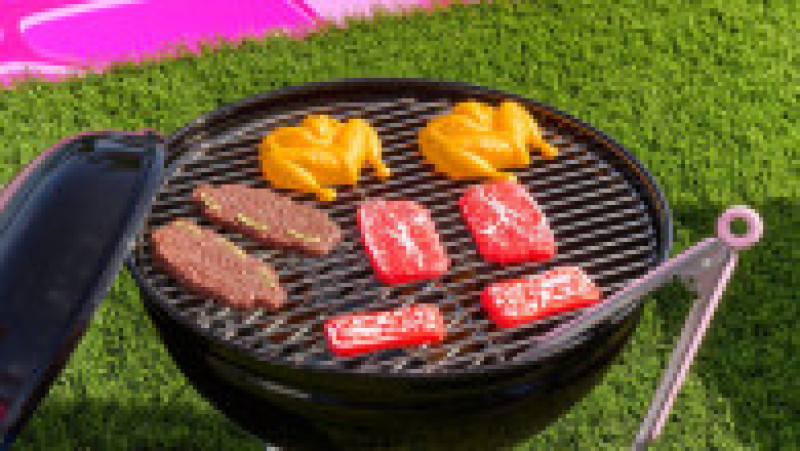 Fanii Barbie vor putea în curând să locuiască în casa în mărime naturală a celebrei păpuşi Mattel. Foto: Profimedia Images | Poza 18 din 24