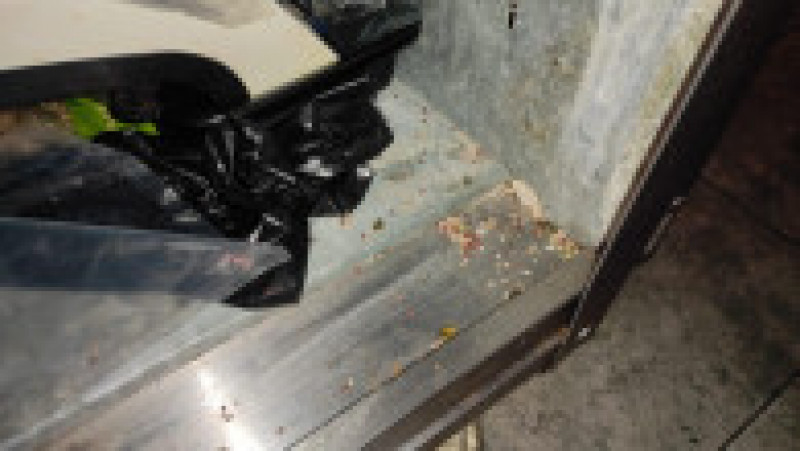 Inspectorii ANPC au închis un restaurant din Costinești unde au găsit mâncare expirată, mizerie și un congelator cu insecte moarte. FOTO: Facebook Horia Constantinescu | Poza 6 din 10