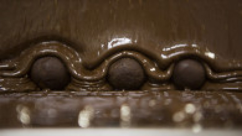 Trufe învelite în ciocolată. Foto: Profimedia Images | Poza 10 din 10