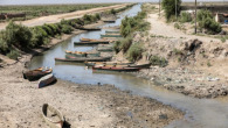 Mii de peşti morţi au fost descoperiţi pe malurile unui râu din sudul Irakului. Foto: Profimedia | Poza 11 din 11