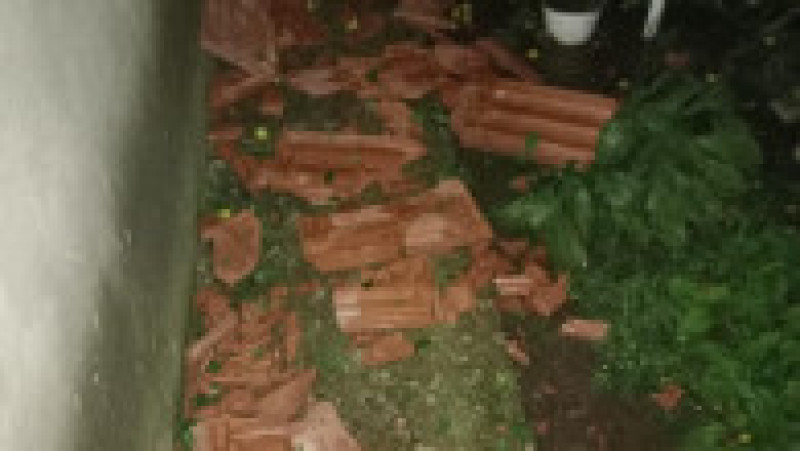 Grindină uriașă în Timiș Sursa foto: Imagini amator | Poza 10 din 13