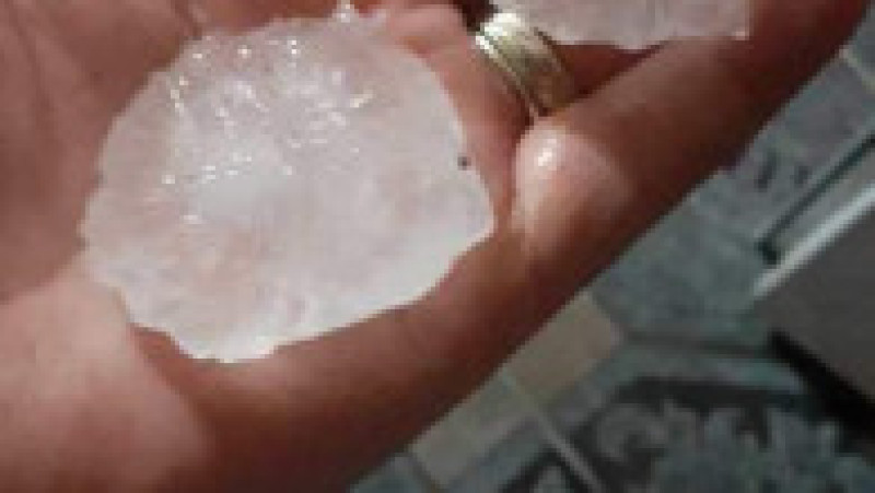 Grindină uriașă în Timiș Sursa foto: Imagini amator | Poza 12 din 13