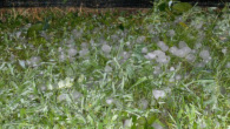 Foto: Imagini amator | Poza 4 din 13