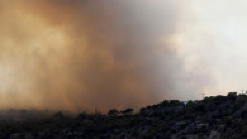 Incendii de pădure lângă Atena. FOTO: Profimedia Images | Poza 2 din 22
