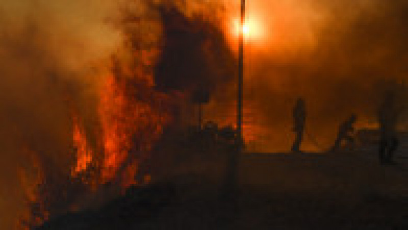Incendii de pădure lângă Atena. FOTO: Profimedia Images | Poza 1 din 22