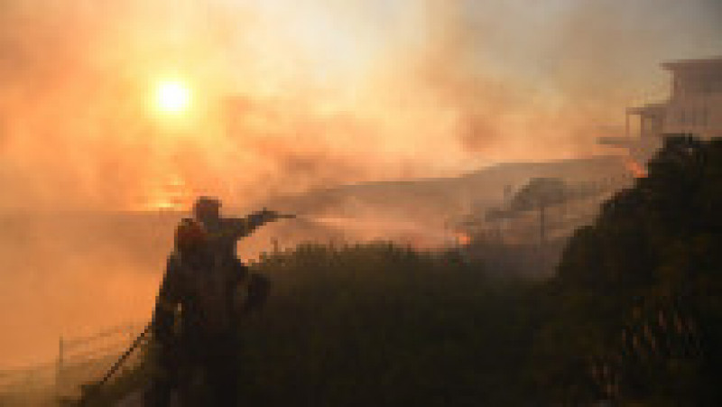 Incendii de pădure lîngă Atena. FOTO: Profimedia Images | Poza 5 din 20