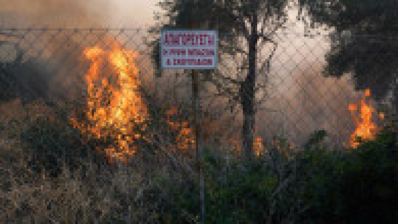 Incendii de pădure lângă Atena. FOTO: Profimedia Images | Poza 15 din 20