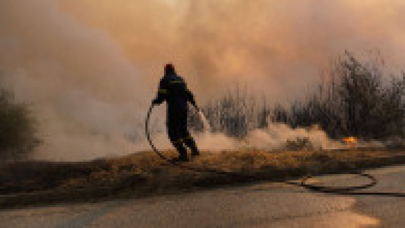 Incendii de pădure lângă Atena. FOTO: Profimedia Images | Poza 15 din 22