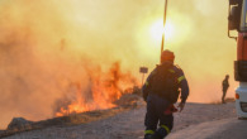 Incendii de pădure lângă Atena. FOTO: Profimedia Images | Poza 16 din 22