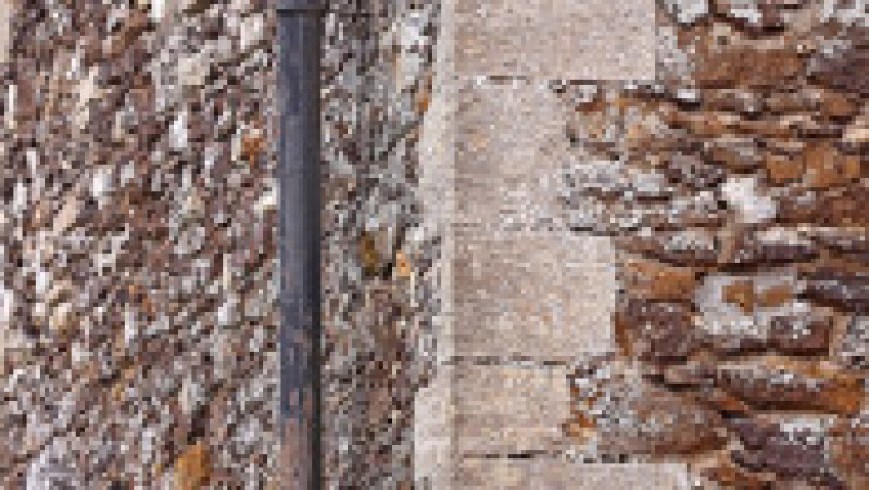 O bufniță se ascunde în zidul unei biserici și e aproape imposibil de observat. Foto: Profimedia | Poza 1 din 9