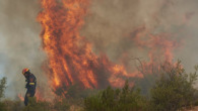 Grecia, care se confruntă mai devreme decât de obicei cu incendii masive de vegetație, cere ajutorul Uniunii Europene. FOTO: Profimedia Images | Poza 3 din 9