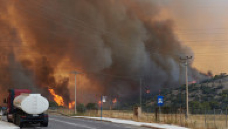 Grecia, care se confruntă mai devreme decât de obicei cu incendii masive de vegetație, cere ajutorul Uniunii Europene. FOTO: Profimedia Images | Poza 4 din 9