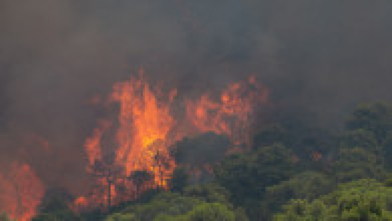 Grecia, care se confruntă mai devreme decât de obicei cu incendii masive de vegetație, cere ajutorul Uniunii Europene. FOTO: Profimedia Images | Poza 7 din 9