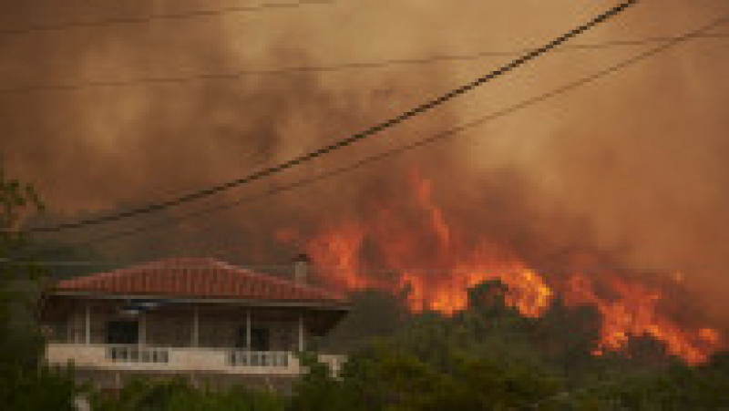 Grecia, care se confruntă mai devreme decât de obicei cu incendii masive de vegetație, cere ajutorul Uniunii Europene. FOTO: Profimedia Images | Poza 2 din 9