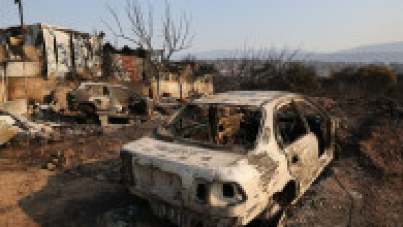 Incendiile de pădure care au cuprins satul Mandra au lăsat în urmă un peisaj apocaliptic. FOTO: Profimedia Images | Poza 4 din 12