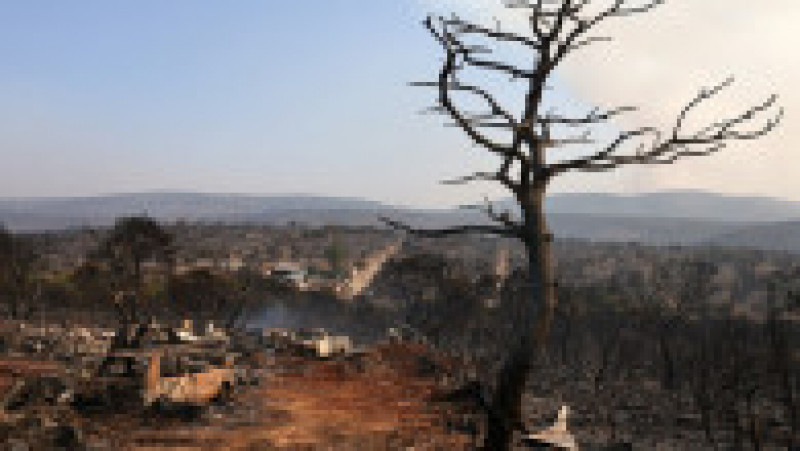Incendiile de pădure care au cuprins satul Mandra au lăsat în urmă un peisaj apocaliptic. FOTO: Profimedia Images | Poza 5 din 12