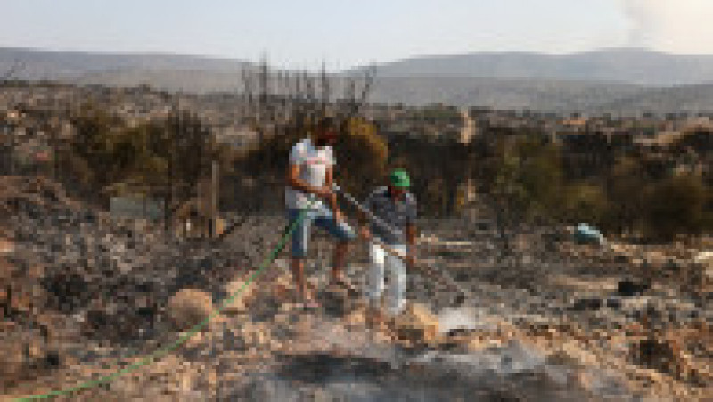 Incendiile de pădure care au cuprins satul Mandra au lăsat în urmă un peisaj apocaliptic. FOTO: Profimedia Images | Poza 10 din 12