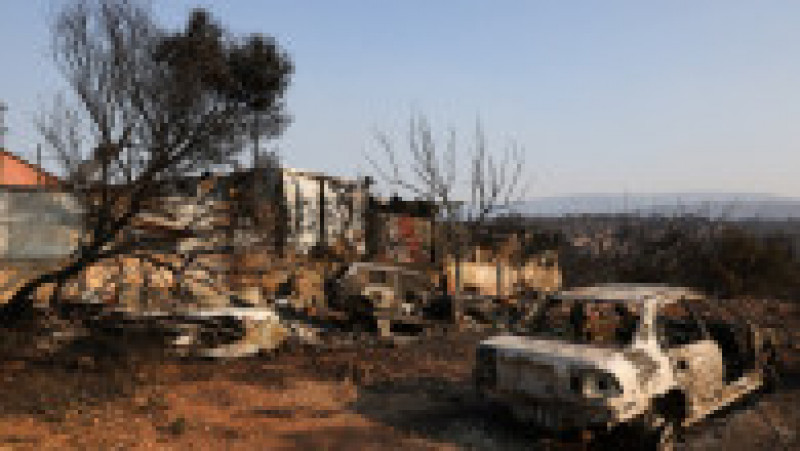 Incendiile de pădure care au cuprins satul Mandra au lăsat în urmă un peisaj apocaliptic. FOTO: Profimedia Images | Poza 11 din 12