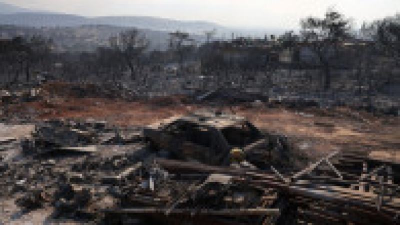 Incendiile de pădure care au cuprins satul Mandra au lăsat în urmă un peisaj apocaliptic. FOTO: Profimedia Images | Poza 12 din 12