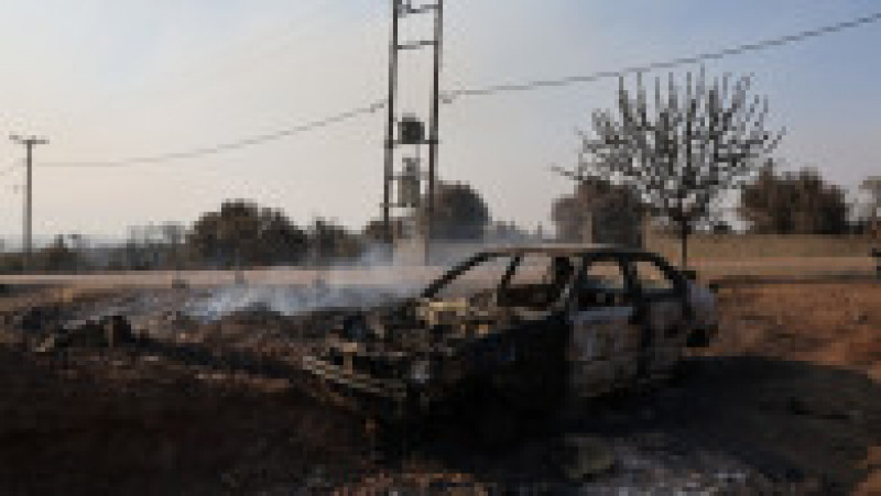 Incendiile de pădure care au cuprins satul Mandra au lăsat în urmă un peisaj apocaliptic. FOTO: Profimedia Images | Poza 7 din 12